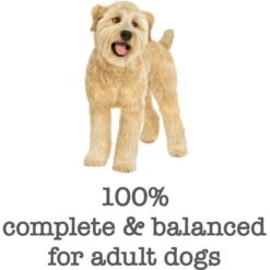 Purina Beneful Medleys Romana Style Canned Dog Food -Blue Buffalo || ROYAL CANIN || Wellness Sales 100121 PT5. AC SS1800 V1699369705