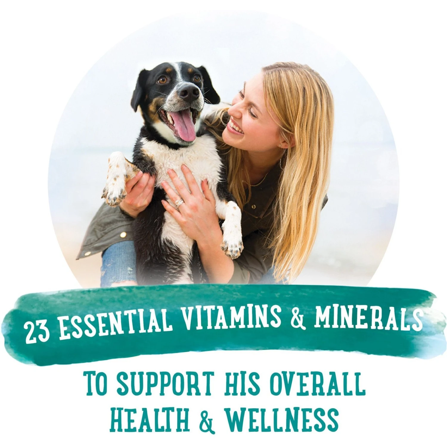 Purina Beneful Prepared Meals Savory Rice & Lamb Stew With Peas & Carrots Wet Dog Food 10 Purina Beneful Prepared Meals Savory Rice & Lamb Stew With Peas & Carrots Wet Dog Food - Image 8