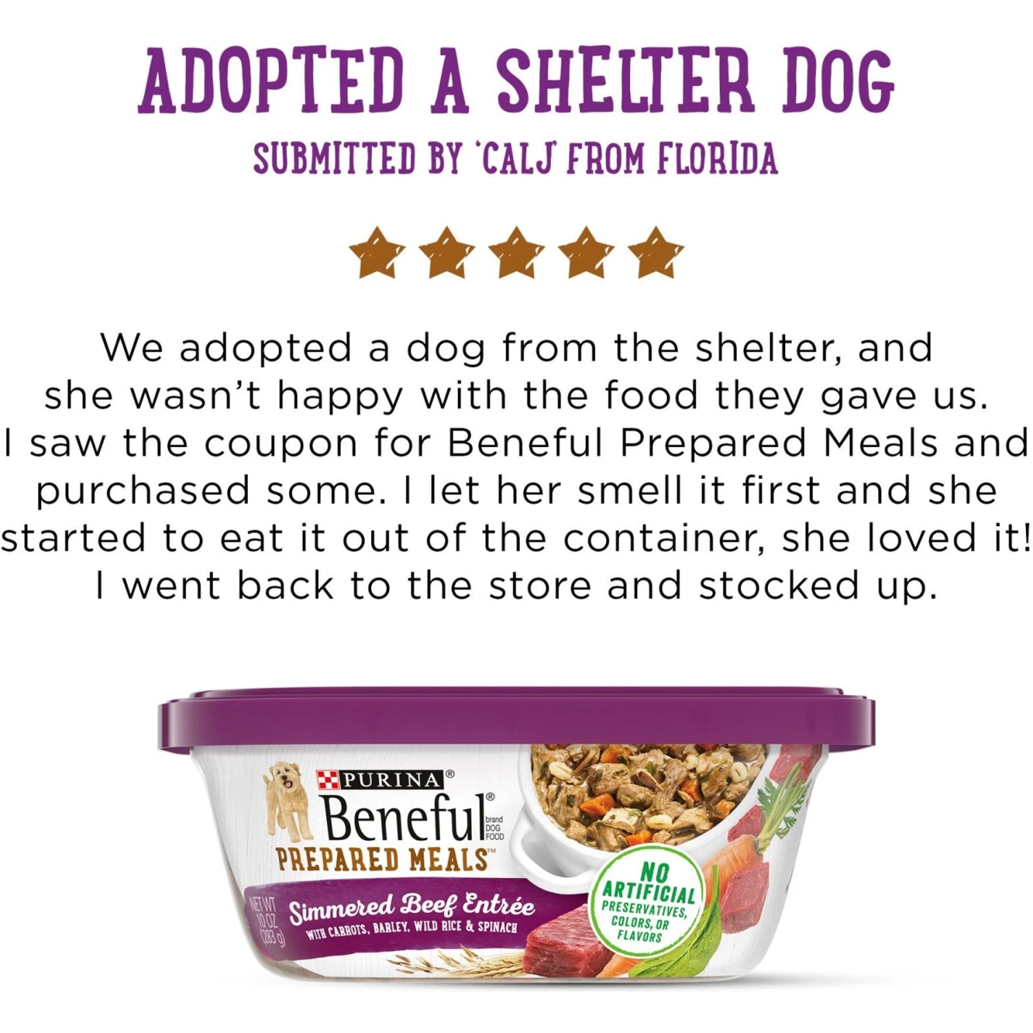 Purina Beneful Prepared Meals Simmered Beef Entree With Carrots, Barley, Wild Rice & Spinach Wet Dog Food 9 Purina Beneful Prepared Meals Simmered Beef Entree With Carrots, Barley, Wild Rice & Spinach Wet Dog Food - Image 7