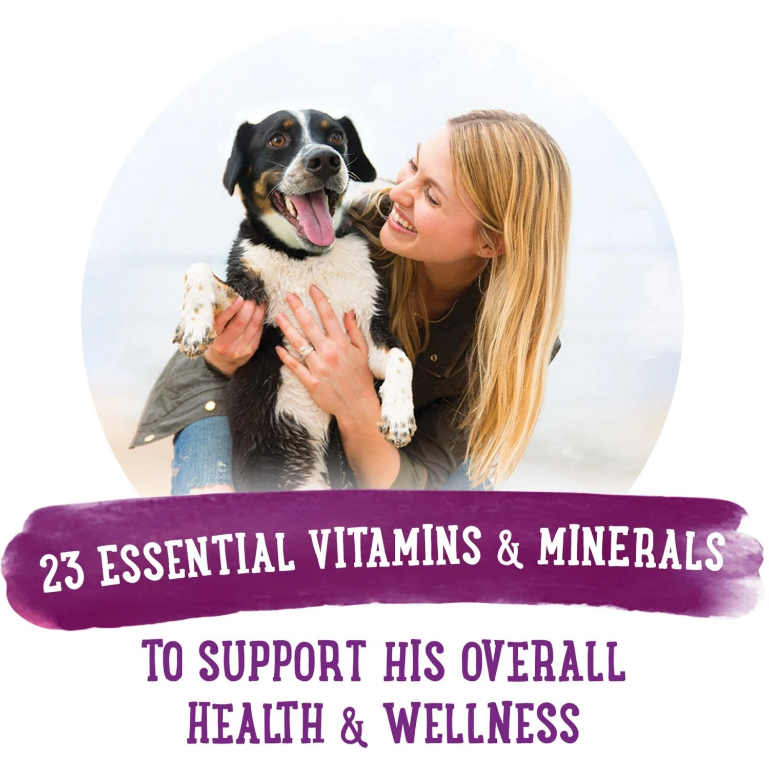 Purina Beneful Prepared Meals Simmered Beef Entree With Carrots, Barley, Wild Rice & Spinach Wet Dog Food 10 Purina Beneful Prepared Meals Simmered Beef Entree With Carrots, Barley, Wild Rice & Spinach Wet Dog Food - Image 8