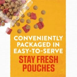 Moist & Meaty Rise & Shine Awaken Bacon & Egg Flavor Dry Dog Food -Blue Buffalo || ROYAL CANIN || Wellness Sales 100202 PT5. AC SS1800 V1700162268