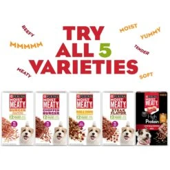 Moist & Meaty Rise & Shine Awaken Bacon & Egg Flavor Dry Dog Food -Blue Buffalo || ROYAL CANIN || Wellness Sales 100202 PT8. AC SS1800 V1700156542