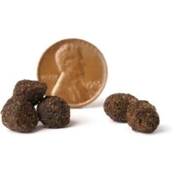 VICTOR Purpose Nutra Pro Dry Dog Food 12 VICTOR Purpose Nutra Pro Dry Dog Food -Blue Buffalo || ROYAL CANIN || Wellness Sales 101765 PT3. AC SS1800 V1677685938