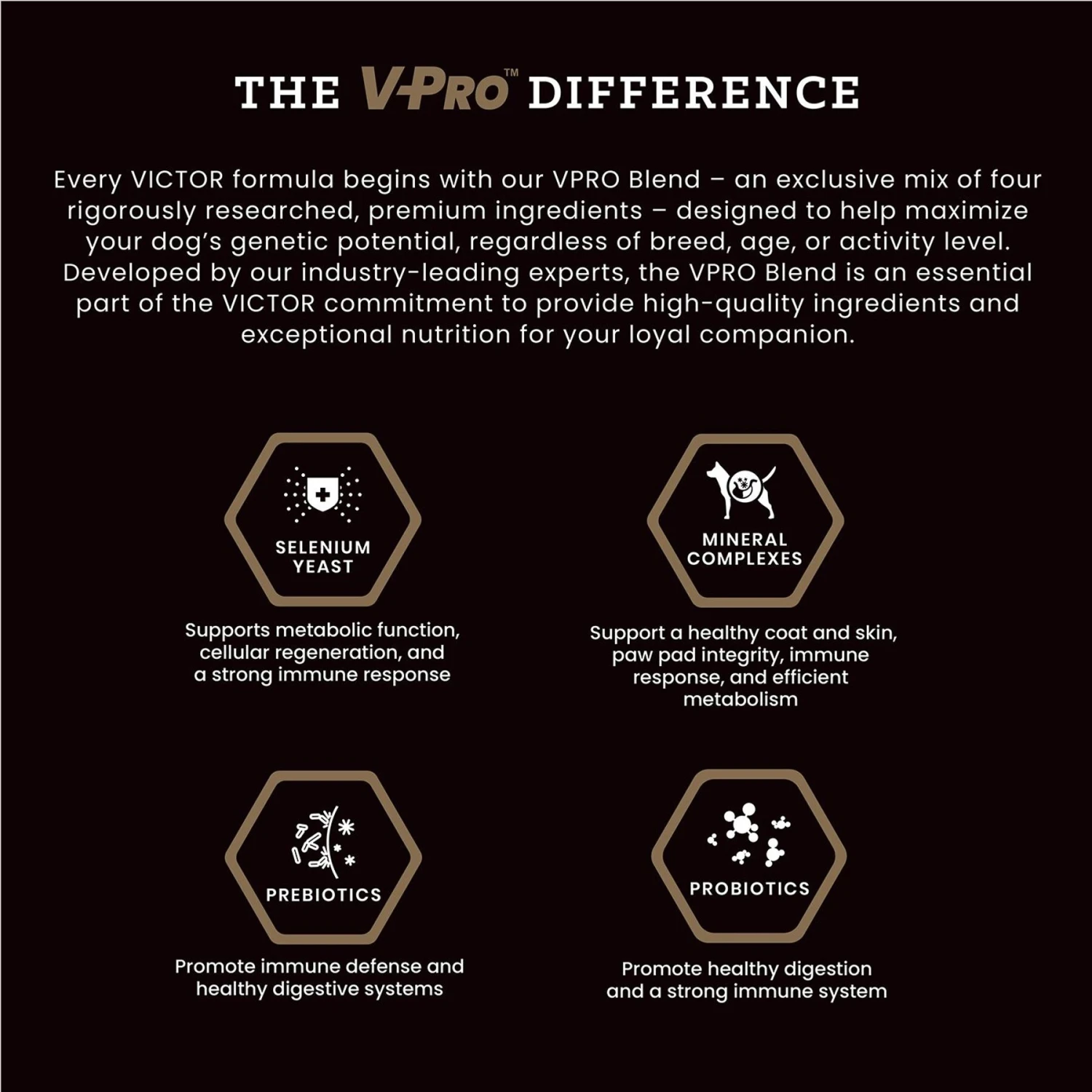 VICTOR Select Lamb Meal & Sweet Potato Recipe Grain-Free Dry Dog Food 6 VICTOR Select Lamb Meal & Sweet Potato Recipe Grain-Free Dry Dog Food - Image 4