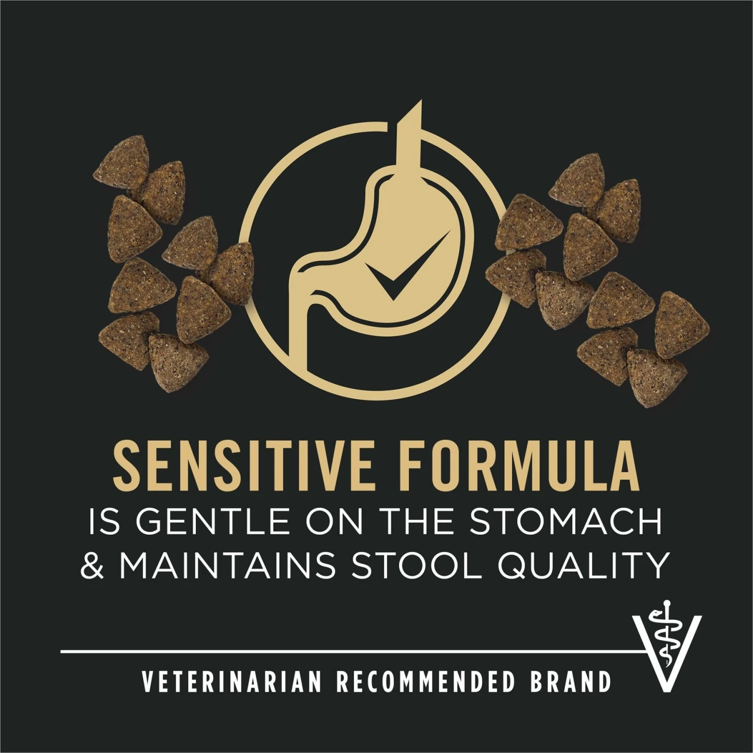 Purina Pro Plan Sensitive Skin & Stomach Adult With Probiotics Lamb & Oat Meal Formula High Protein Dry Dog Food 5 Purina Pro Plan Sensitive Skin & Stomach Adult With Probiotics Lamb & Oat Meal Formula High Protein Dry Dog Food - Image 3