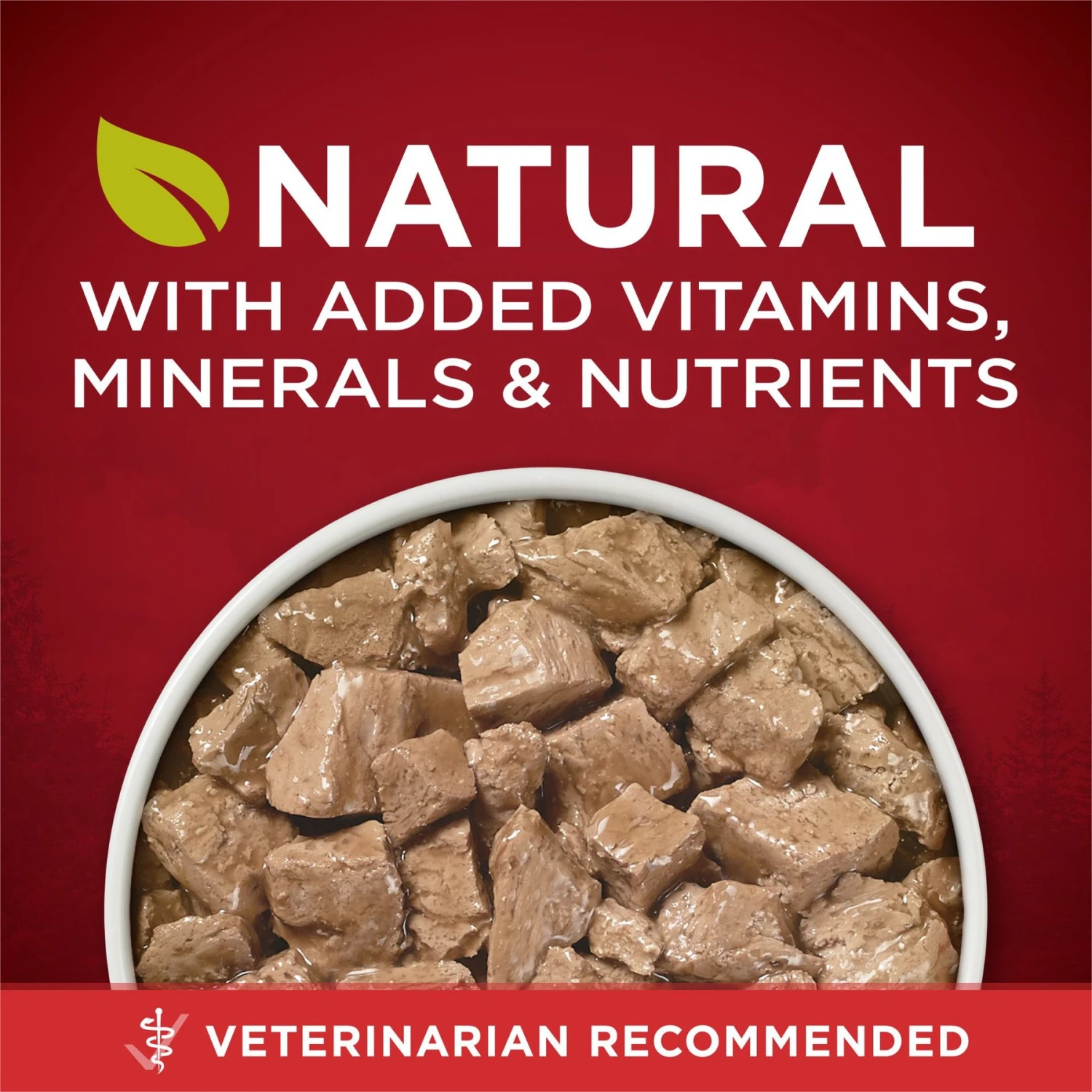 Purina ONE SmartBlend True Instinct Tender Cuts In Gravy With Real Chicken & Duck Canned Dog Food 4 Purina ONE SmartBlend True Instinct Tender Cuts In Gravy With Real Chicken & Duck Canned Dog Food - Image 2