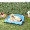 Gen7Pets Cool-Air Cot Elevated Dog Bed -Blue Buffalo || ROYAL CANIN || Wellness Sales 105020 MAIN. AC SS1800 V1566323739