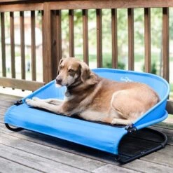 Gen7Pets Cool-Air Cot Elevated Dog Bed -Blue Buffalo || ROYAL CANIN || Wellness Sales 105020 PT3. AC SS1800 V1566323751