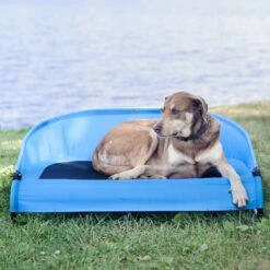 Gen7Pets Cool-Air Cot Elevated Dog Bed -Blue Buffalo || ROYAL CANIN || Wellness Sales 105020 PT4. AC SS1800 V1566323753