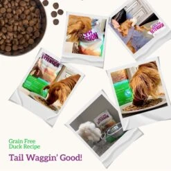 Health Extension Grain-Free Duck & Sweet Potato Recipe Dry Dog Food 16 Health Extension Grain-Free Duck & Sweet Potato Recipe Dry Dog Food -Blue Buffalo || ROYAL CANIN || Wellness Sales 105285 PT6. AC SS1800 V1595631074