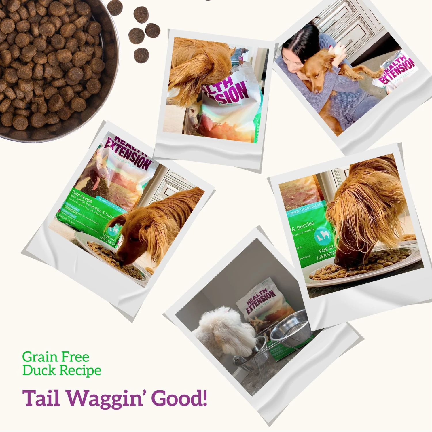 Health Extension Grain-Free Duck & Sweet Potato Recipe Dry Dog Food 9 Health Extension Grain-Free Duck & Sweet Potato Recipe Dry Dog Food - Image 7