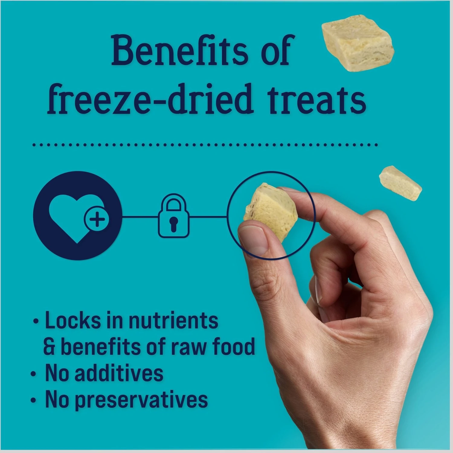 Stewart Chicken Breast Freeze-Dried Dog Treats 6 Stewart Chicken Breast Freeze-Dried Dog Treats - Image 4