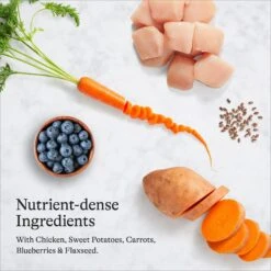 American Journey Large Breed Adult Chicken & Sweet Potato Recipe Grain-Free Dry Dog Food 16 American Journey Large Breed Adult Chicken & Sweet Potato Recipe Grain-Free Dry Dog Food -Blue Buffalo || ROYAL CANIN || Wellness Sales 108414 PT5. AC SS1800 V1680545175