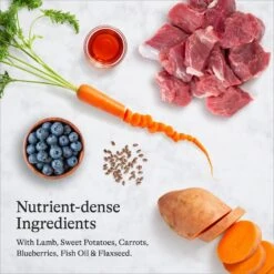 American Journey Lamb & Sweet Potato Recipe Grain-Free Dry Dog Food -Blue Buffalo || ROYAL CANIN || Wellness Sales 108419 PT5. AC SS1800 V1680545177