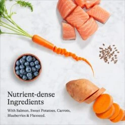 American Journey Salmon & Sweet Potato Recipe Grain-Free Dry Dog Food -Blue Buffalo || ROYAL CANIN || Wellness Sales 108423 PT5. AC SS1800 V1680545524