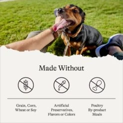 American Journey Salmon & Sweet Potato Recipe Grain-Free Dry Dog Food -Blue Buffalo || ROYAL CANIN || Wellness Sales 108423 PT6. AC SS1800 V1680545523