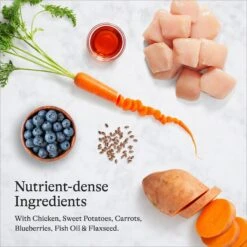 American Journey Puppy Chicken & Sweet Potato Recipe Grain-Free Dry Dog Food 16 American Journey Puppy Chicken & Sweet Potato Recipe Grain-Free Dry Dog Food -Blue Buffalo || ROYAL CANIN || Wellness Sales 108432 PT5. AC SS1800 V1680545529