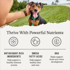 American Journey Puppy Lamb & Sweet Potato Recipe Grain-Free Dry Dog Food -Blue Buffalo || ROYAL CANIN || Wellness Sales 108436 PT4. AC SS1800 V1665438656