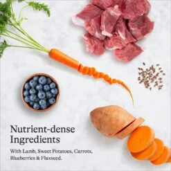 American Journey Puppy Lamb & Sweet Potato Recipe Grain-Free Dry Dog Food -Blue Buffalo || ROYAL CANIN || Wellness Sales 108436 PT5. AC SS1800 V1680545177