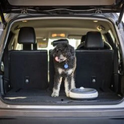 Torus Pet Filtered Dog & Cat Water Bowl -Blue Buffalo || ROYAL CANIN || Wellness Sales 108653 PT7. AC SS1800 V1676903617