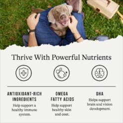 American Journey Protein & Grains Lamb, Brown Rice & Vegetables Recipe Dry Dog Food 15 American Journey Protein & Grains Lamb, Brown Rice & Vegetables Recipe Dry Dog Food -Blue Buffalo || ROYAL CANIN || Wellness Sales 109343 PT4. AC SS1800 V1668737235