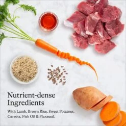 American Journey Protein & Grains Lamb, Brown Rice & Vegetables Recipe Dry Dog Food 16 American Journey Protein & Grains Lamb, Brown Rice & Vegetables Recipe Dry Dog Food -Blue Buffalo || ROYAL CANIN || Wellness Sales 109343 PT5. AC SS1800 V1680622720
