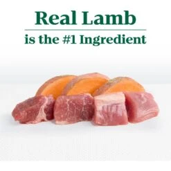 Nutro Limited Ingredient Diet Sensitive Support With Real Lamb & Sweet Potato Grain-Free Large Breed Adult Dry Dog Food -Blue Buffalo || ROYAL CANIN || Wellness Sales 109402 PT7. AC SS1800 V1702666895