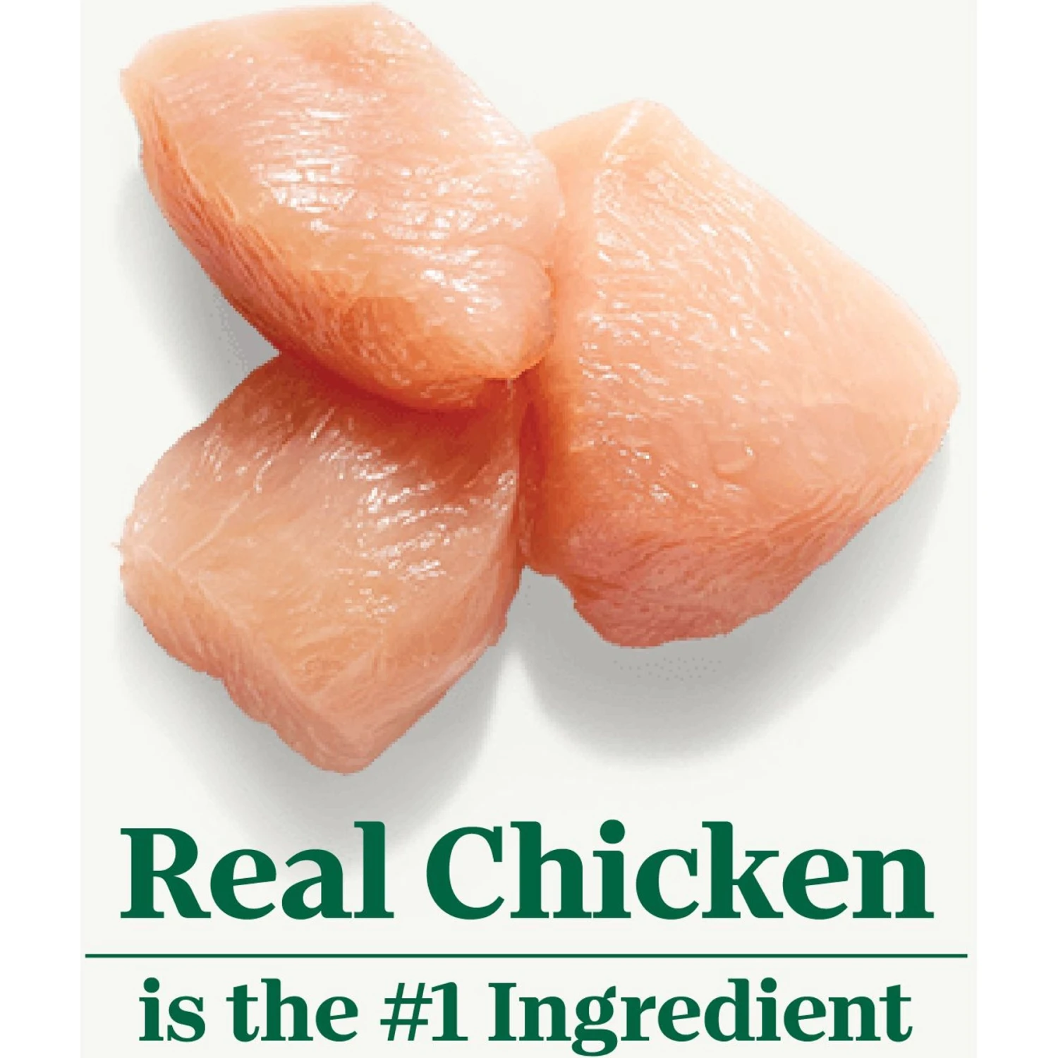 Nutro Natural Choice Small Bites Adult Chicken & Brown Rice Recipe Dry Dog Food 6 Nutro Natural Choice Small Bites Adult Chicken & Brown Rice Recipe Dry Dog Food - Image 4