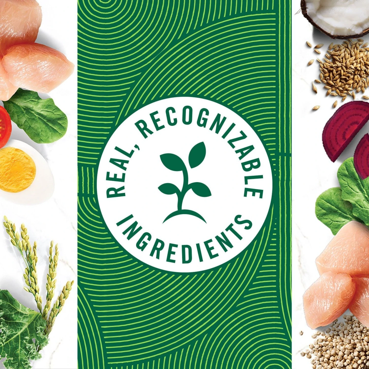 Nutro Natural Choice Small Breed Senior Chicken & Brown Rice Recipe Dry Dog Food 7 Nutro Natural Choice Small Breed Senior Chicken & Brown Rice Recipe Dry Dog Food - Image 5