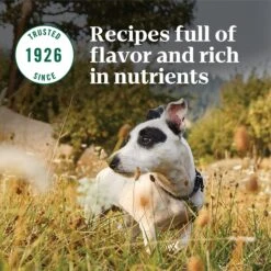 Nutro Natural Choice Small Breed Senior Chicken & Brown Rice Recipe Dry Dog Food 18 Nutro Natural Choice Small Breed Senior Chicken & Brown Rice Recipe Dry Dog Food -Blue Buffalo || ROYAL CANIN || Wellness Sales 109583 PT7. AC SS1800 V1691417418