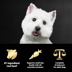 Cesar Filet Mignon Flavor & Spring Vegetables Garnish Small Breed Dry Dog Food -Blue Buffalo || ROYAL CANIN || Wellness Sales 110524 PT8. AC SS1800 V1695674569