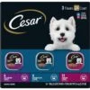 Cesar Filets In Gravy Beef Flavors Variety Pack Small Breed Adult Wet Dog Food -Blue Buffalo || ROYAL CANIN || Wellness Sales 110539 MAIN. AC SS1800 V1695650018