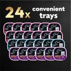 Cesar Filets In Gravy Beef Flavors Variety Pack Small Breed Adult Wet Dog Food 18 Cesar Filets In Gravy Beef Flavors Variety Pack Small Breed Adult Wet Dog Food -Blue Buffalo || ROYAL CANIN || Wellness Sales 110539 PT7. AC SS1800 V1695746024