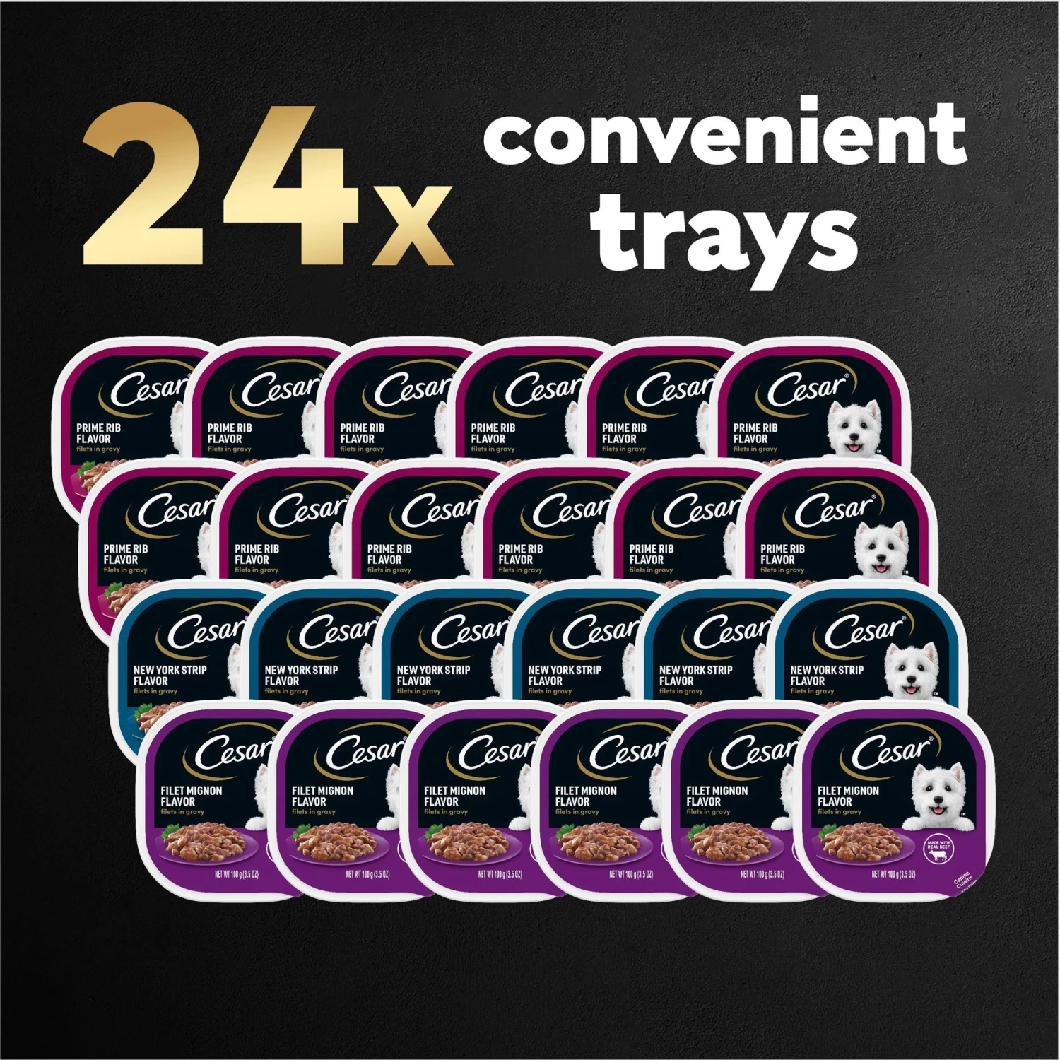 Cesar Filets In Gravy Beef Flavors Variety Pack Small Breed Adult Wet Dog Food 10 Cesar Filets In Gravy Beef Flavors Variety Pack Small Breed Adult Wet Dog Food - Image 8