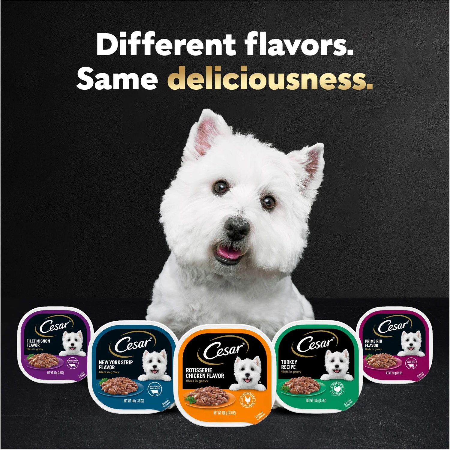 Cesar Filets In Gravy Beef Flavors Variety Pack Small Breed Adult Wet Dog Food 11 Cesar Filets In Gravy Beef Flavors Variety Pack Small Breed Adult Wet Dog Food - Image 9