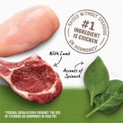 Purina Beyond Grain-Free Chicken, Lamb & Spinach Recipe Ground Entree Canned Dog Food -Blue Buffalo || ROYAL CANIN || Wellness Sales 111056 PT3. AC SS1800 V1700157993