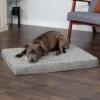 FurHaven NAP Deluxe Memory Foam Pillow Dog Bed With Removable Cover -Blue Buffalo || ROYAL CANIN || Wellness Sales 111424 MAIN. AC SS1800 V1693926807