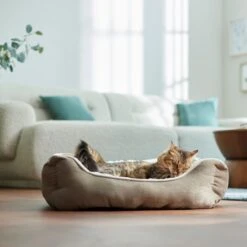 Frisco Rectangular Bolster Cat & Dog Bed -Blue Buffalo || ROYAL CANIN || Wellness Sales 113275 PT2. AC SS1800 V1657655271