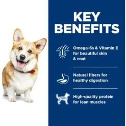 Hill's Science Diet Adult Small Bites Chicken & Barley Recipe Dry Dog Food 17 Hill's Science Diet Adult Small Bites Chicken & Barley Recipe Dry Dog Food -Blue Buffalo || ROYAL CANIN || Wellness Sales 114163 PT6. AC SS1800 V1598148988