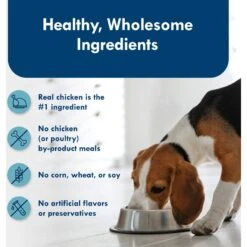 Blue Buffalo Divine Delights Grilled Chicken Flavor Pate Dog Food Trays -Blue Buffalo || ROYAL CANIN || Wellness Sales 114266 PT5. AC SS1800 V1642639027