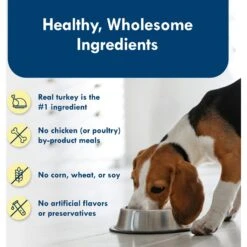 Blue Buffalo Divine Delights Roasted Turkey Flavor Pate Dog Food Trays 16 Blue Buffalo Divine Delights Roasted Turkey Flavor Pate Dog Food Trays -Blue Buffalo || ROYAL CANIN || Wellness Sales 114275 PT5. AC SS1800 V1642632436