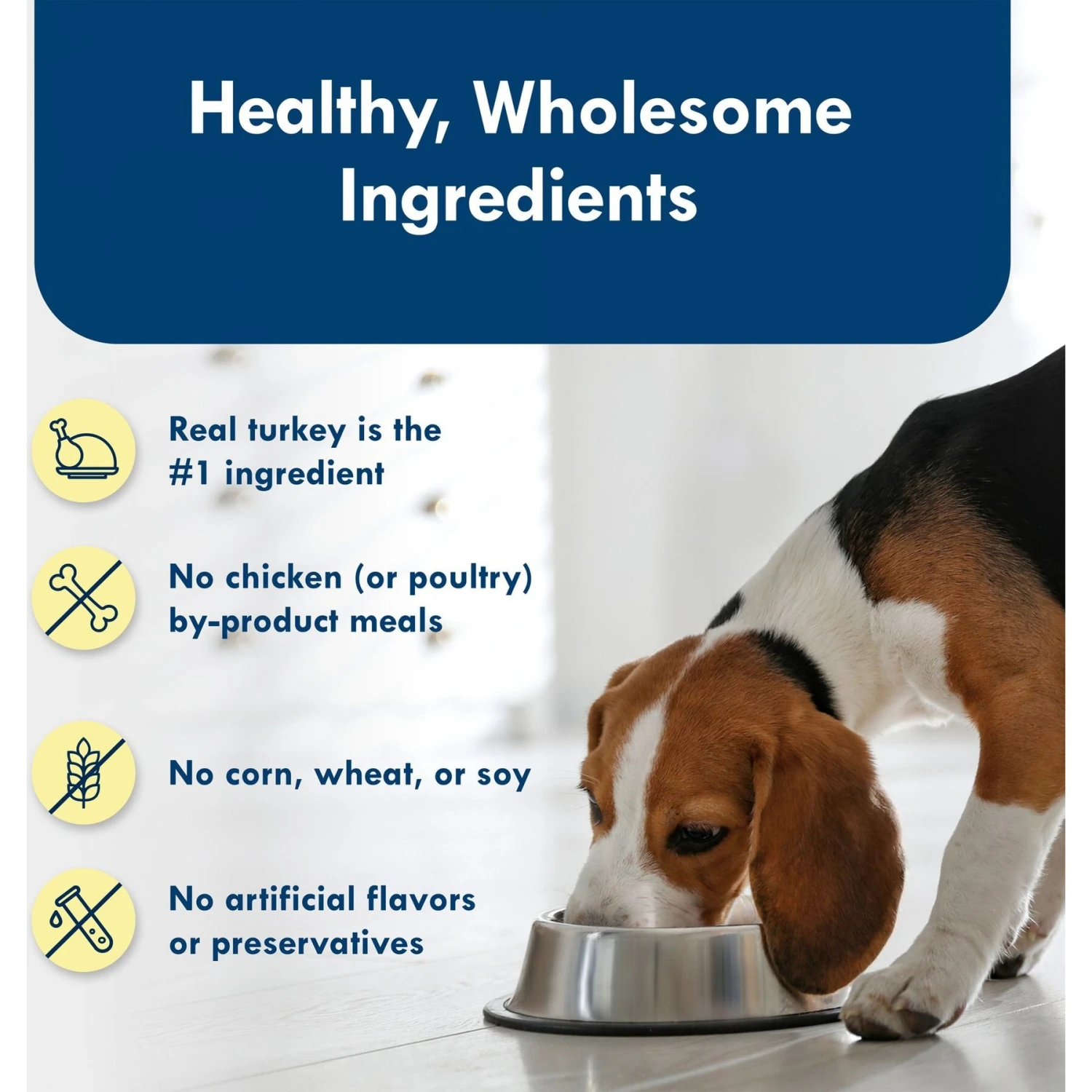 Blue Buffalo Divine Delights Roasted Turkey Flavor Pate Dog Food Trays 8 Blue Buffalo Divine Delights Roasted Turkey Flavor Pate Dog Food Trays - Image 6