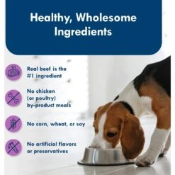 Blue Buffalo Divine Delights Top Sirloin Flavor Pate Dog Food Trays 16 Blue Buffalo Divine Delights Top Sirloin Flavor Pate Dog Food Trays -Blue Buffalo || ROYAL CANIN || Wellness Sales 114282 PT5. AC SS1800 V1642635410