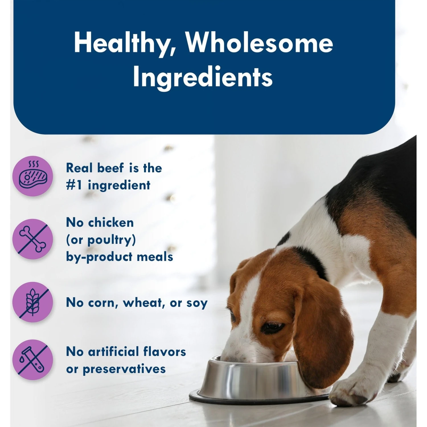 Blue Buffalo Divine Delights Top Sirloin Flavor Pate Dog Food Trays 8 Blue Buffalo Divine Delights Top Sirloin Flavor Pate Dog Food Trays - Image 6