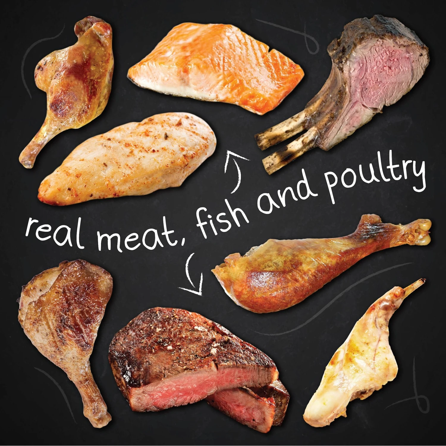 Hound & Gatos 98% Lamb & Liver Grain-Free Canned Dog Food 8 Hound & Gatos 98% Lamb & Liver Grain-Free Canned Dog Food - Image 6