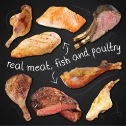 Hound & Gatos 98% Salmon & Lamb Liver Grain-Free Canned Dog Food -Blue Buffalo || ROYAL CANIN || Wellness Sales 115069 PT5. AC SS1800 V1594911963