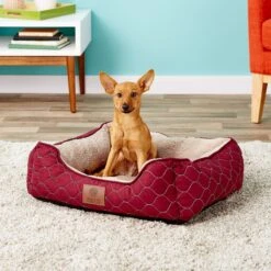 American Kennel Club AKC Circle Stitch Orthopedic Bolster Cat & Dog Bed