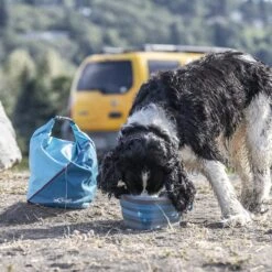 Kurgo Kibble Carrier Travel Dog Food Container 15 Kurgo Kibble Carrier Travel Dog Food Container -Blue Buffalo || ROYAL CANIN || Wellness Sales 116581 PT5. AC SS1800 V1627350677
