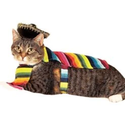 Rubie's Costume Company Serape Dog & Cat Costume 11 Rubie's Costume Company Serape Dog & Cat Costume -Blue Buffalo || ROYAL CANIN || Wellness Sales 117128 PT2. AC SS1800 V1539983906