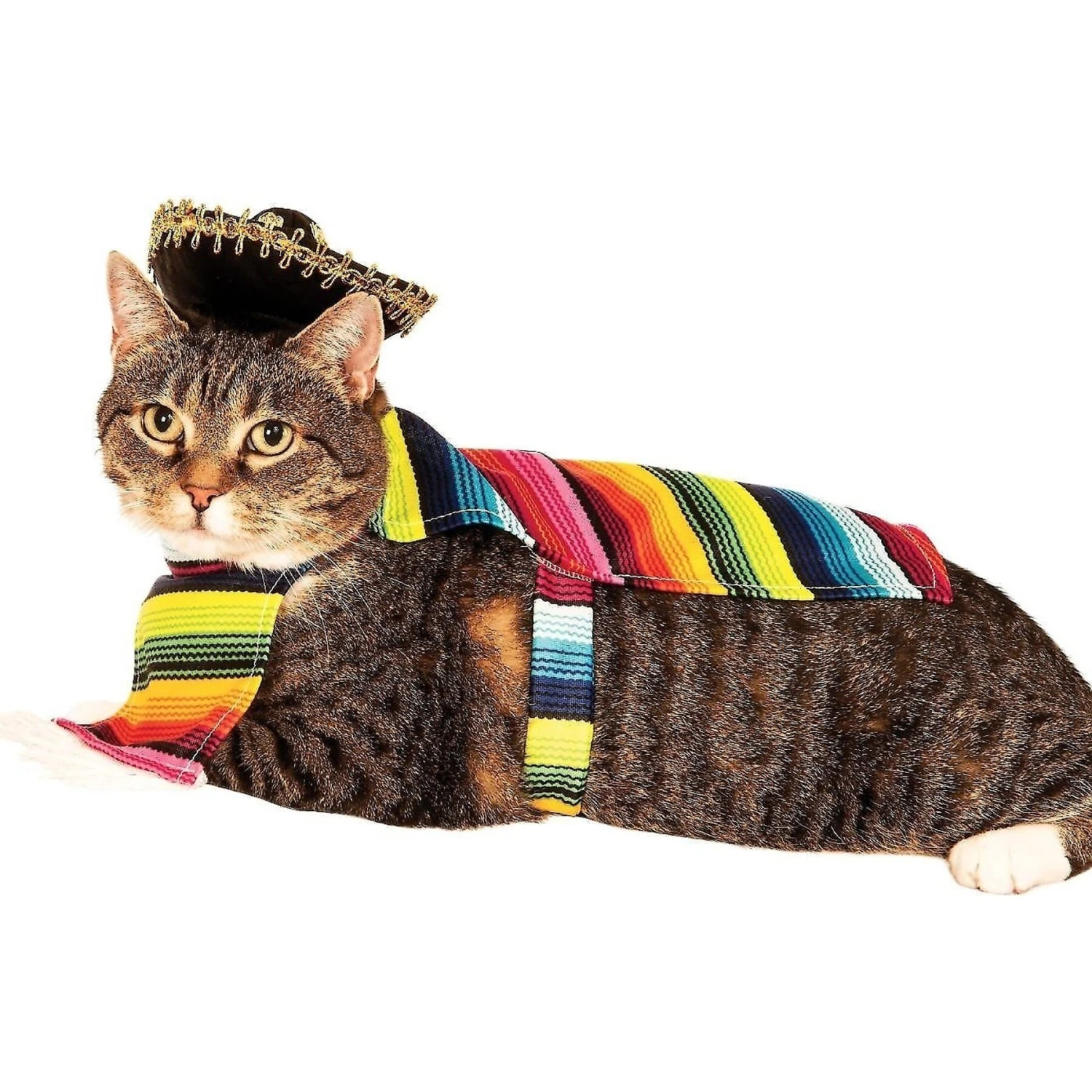 Rubie's Costume Company Serape Dog & Cat Costume 5 Rubie's Costume Company Serape Dog & Cat Costume - Image 3
